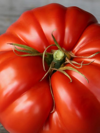 Tomate 'Couilles de Taureau' (Variété ancienne) Graines