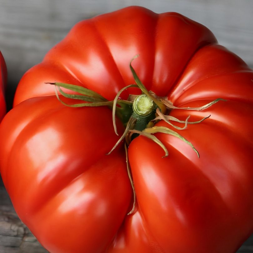 Tomate 'Couilles de Taureau' (Variété ancienne) Graines