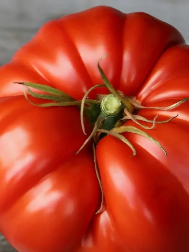 Tomate 'Couilles de Taureau' (Variété ancienne) Graines