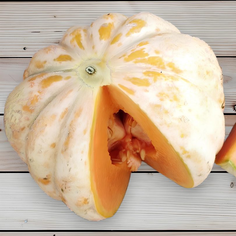 Melon 'Délice de la table' (Variété ancienne) Graines