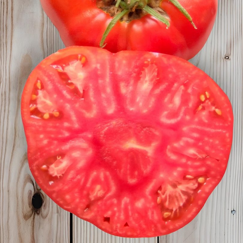 Tomate 'Rouge de Corse' (Variété Ancienne) Graines – Image 2