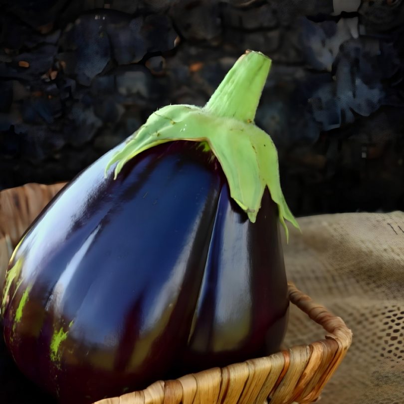 Aubergine 'Black Beauty' (Variété ancienne) Graines – Image 2