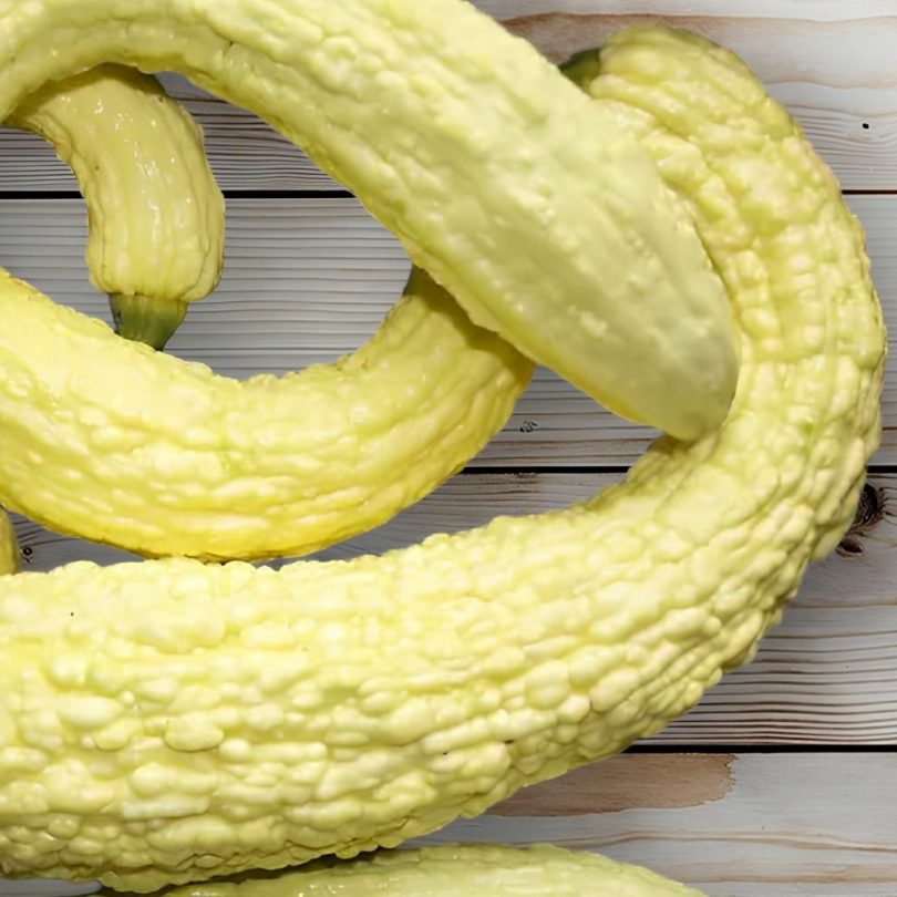 Courgette Popcorn 'Rugosa Friulana' (Variété rare) Graines – Image 2