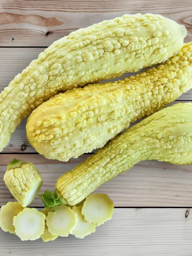Courgette Popcorn 'Rugosa Friulana' (Variété rare) Graines