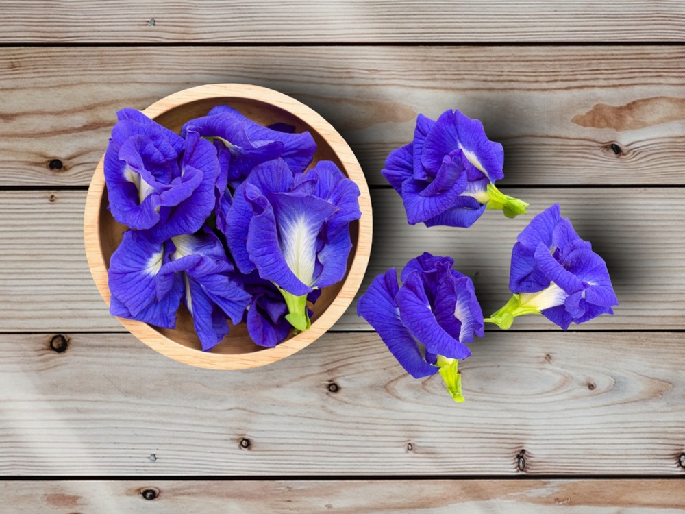 Quelques idées de fleurs qui sentent bon au jardin - France Bleu