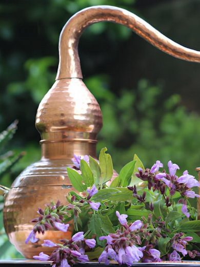 Atelier : Initiation à la distillation des plantes aromatiques (2h00)