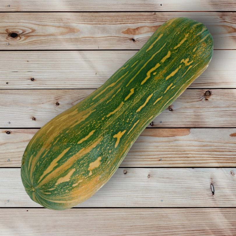 Courge 'Pleine de Naples' (Variété ancienne) Graines – Image 2