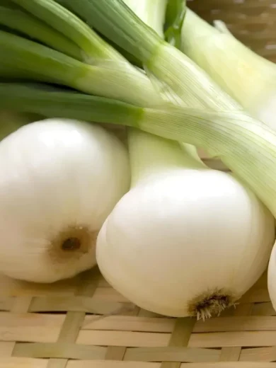 Oignon 'Blanc de Mai' (Variété ancienne précoce) Graines