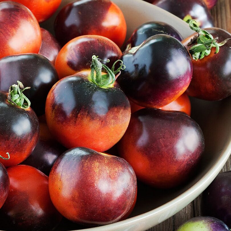 Tomate 'Indigo Rose (Variété bleue) Graines