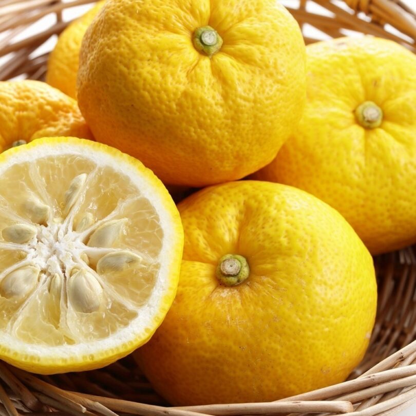 Citronnier Yuzu (Citrus junos) Plant – Image 2