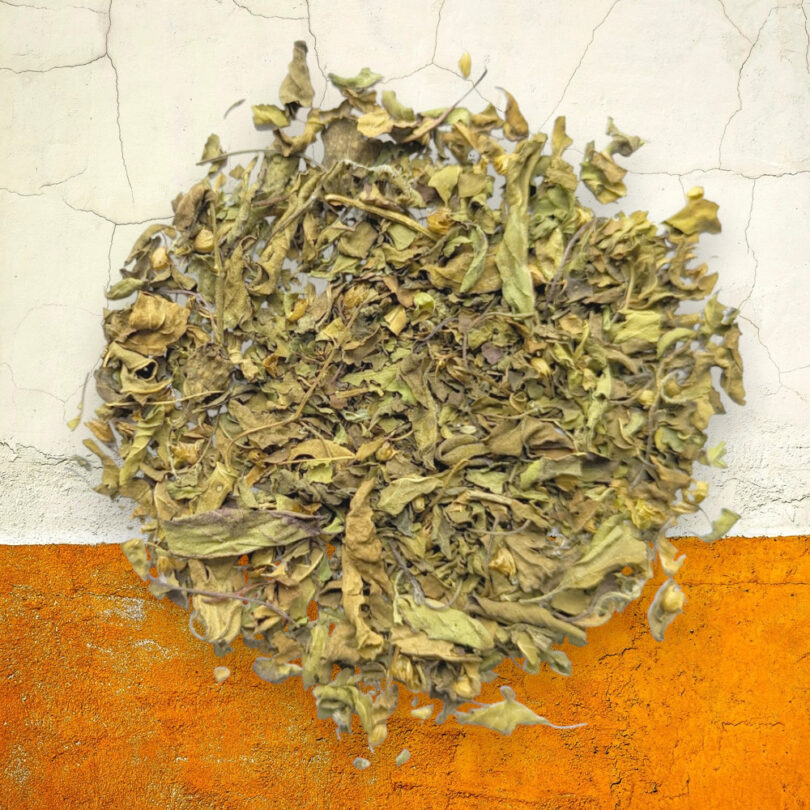 Tisane BIO - Basilic Sacré Tulsi – Image 2