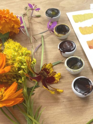 Atelier : Initiation à la fabrication de pigments & Aquarelles naturelles (2h00)