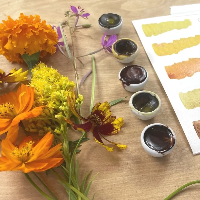 Atelier : Initiation à la fabrication de pigments & Aquarelles naturelles (2h00)