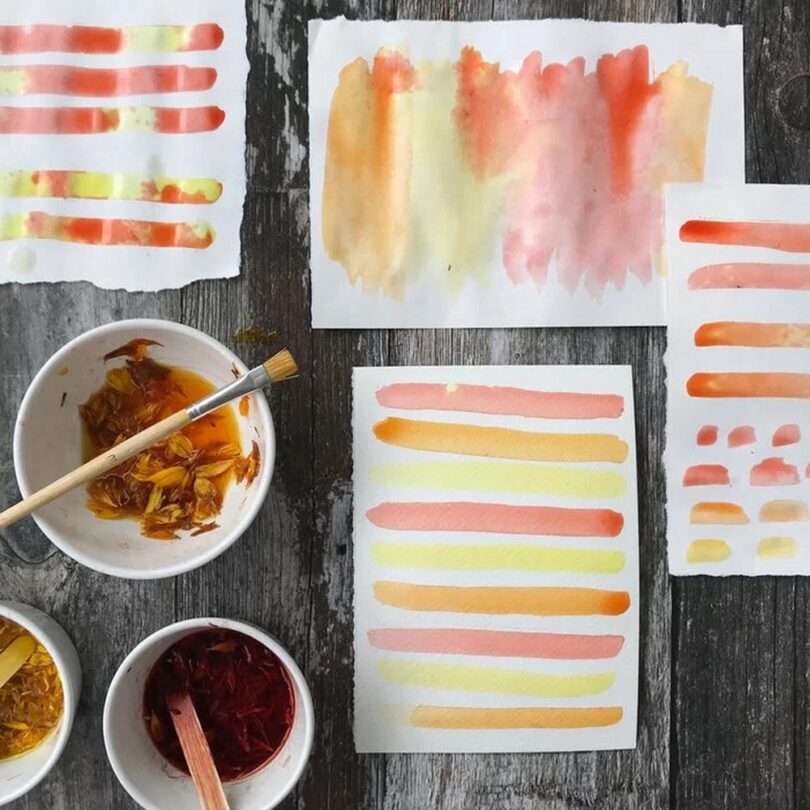 Atelier : Initiation à la fabrication de pigments & Aquarelles naturelles (2h00) – Image 3