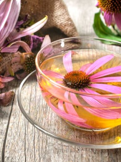 Atelier : Les tisanes médicinales à la rescousse pour l'hiver (2h00)