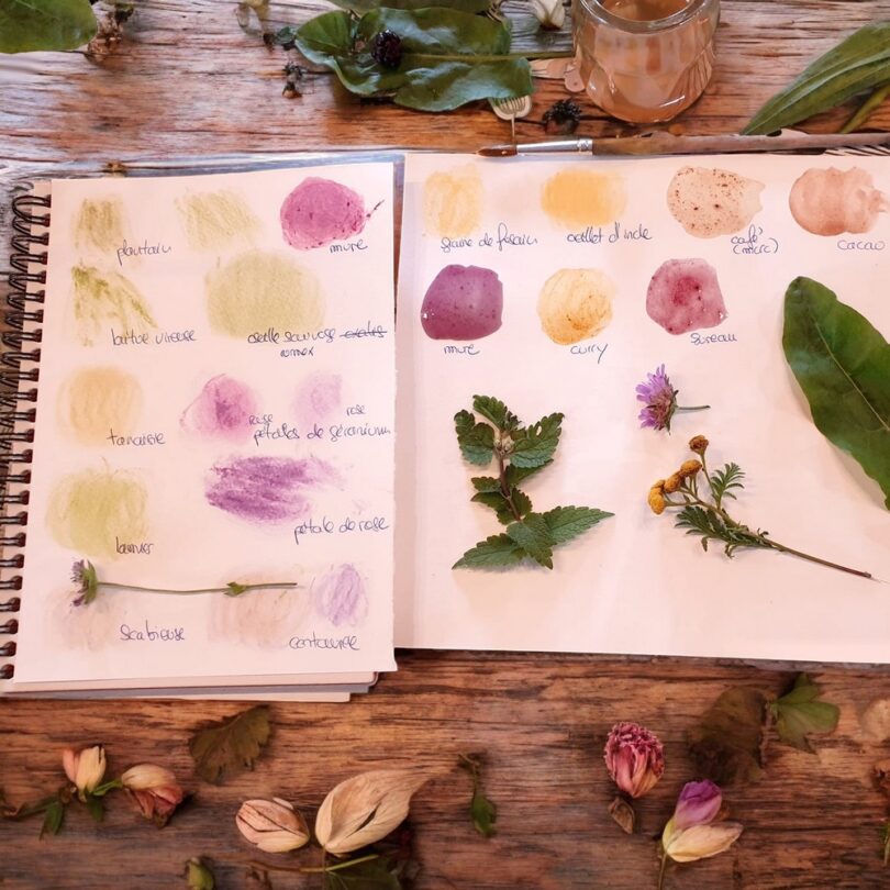 Atelier : Initiation à la fabrication de pigments & Aquarelles naturelles (2h00) – Image 2
