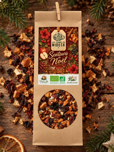 Tisane BIO - Senteurs de Noël