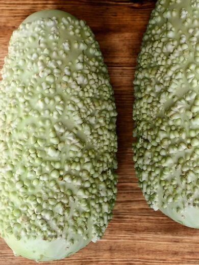 Calebasse 'Verruqueuse de Maurice' (Variété rare) Graines