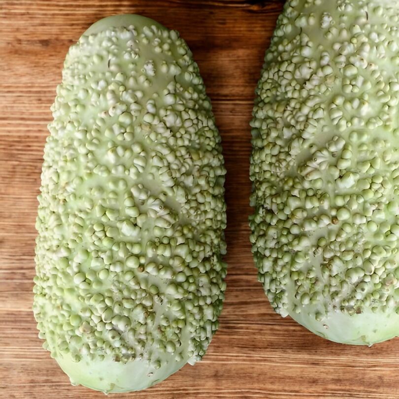 Calebasse 'Verruqueuse de Maurice' (Variété rare) Graines