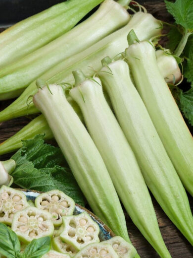 Okra Gombo 'Blondy White' (Variété rare) Graines – Image 2