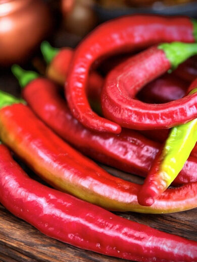 Piment 'Piquant d'Algérie' (Variété ancienne) Graines