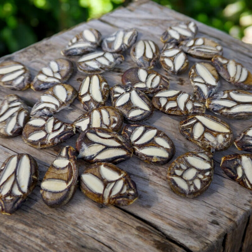 Pastèque Turque 'Cekirdegi Oyali' (Variété ancienne) Graines