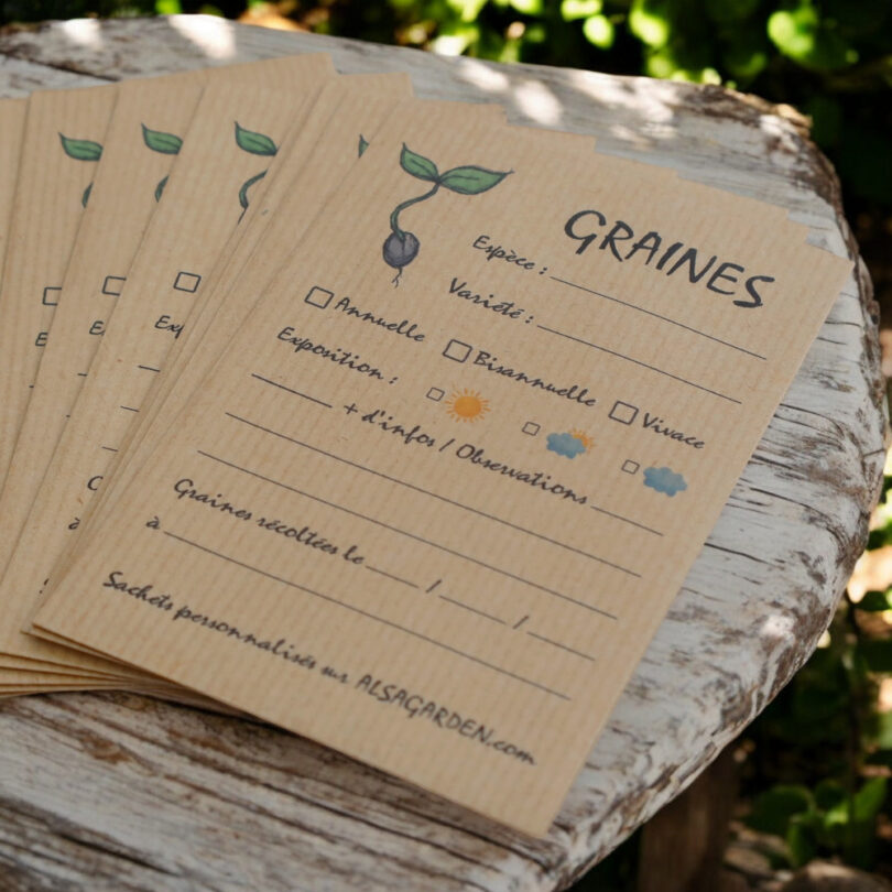 Sachets de graines kraft pour les graines du jardin (Lot de 10 sachets) – Image 2