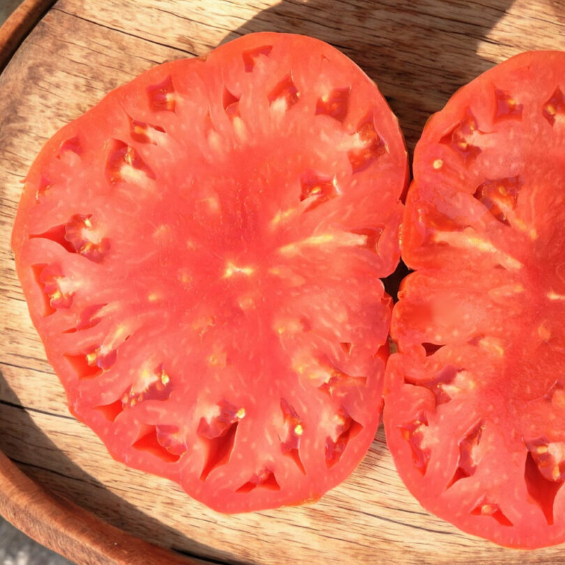 Tomate Géante 'Big Zac' (Variété de concours) Graines – Image 4