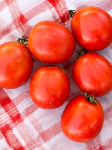 Tomate 'Précoce de Sibérie' (Variété ancienne) Graines