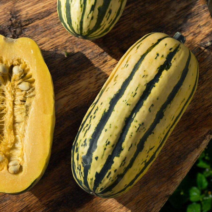 Courge 'Delicata' (Variété ancienne) Graines