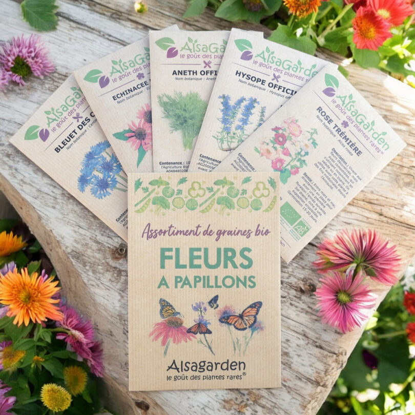 Assortiment Fleurs à Papillons (5 Variétés de graines BIO)