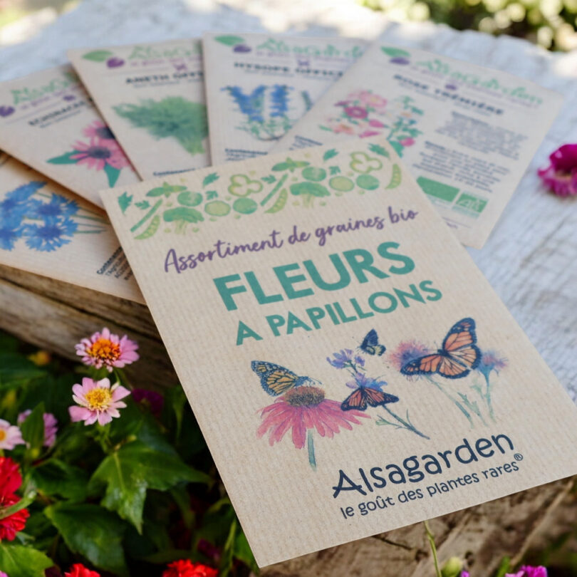 Assortiment Fleurs à Papillons (5 Variétés de graines BIO) – Image 2