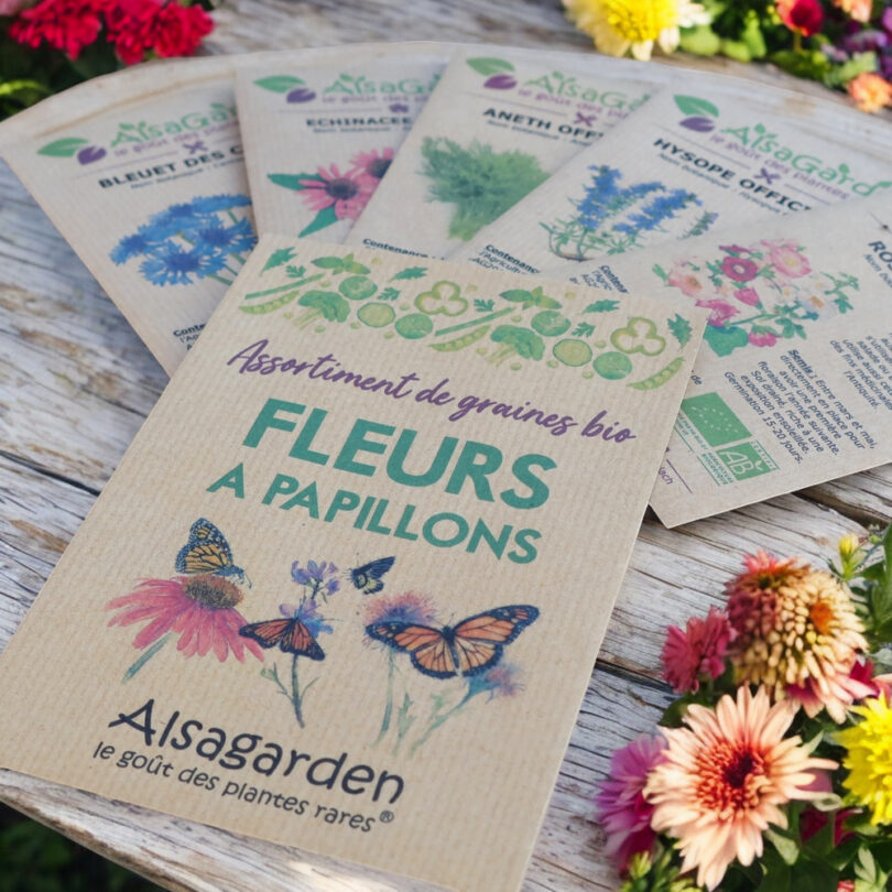 Assortiment Fleurs à Papillons (5 Variétés de graines BIO) – Image 3