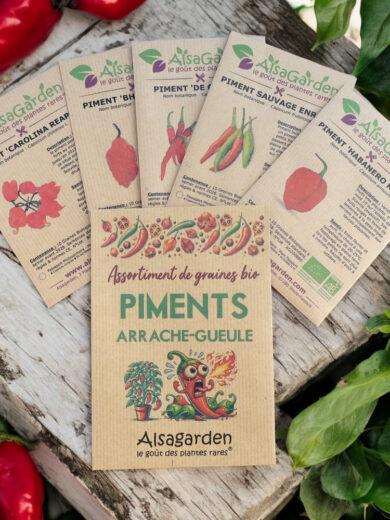 Assortiment Piments Arrache-Gueule (5 Variétés de graines BIO)