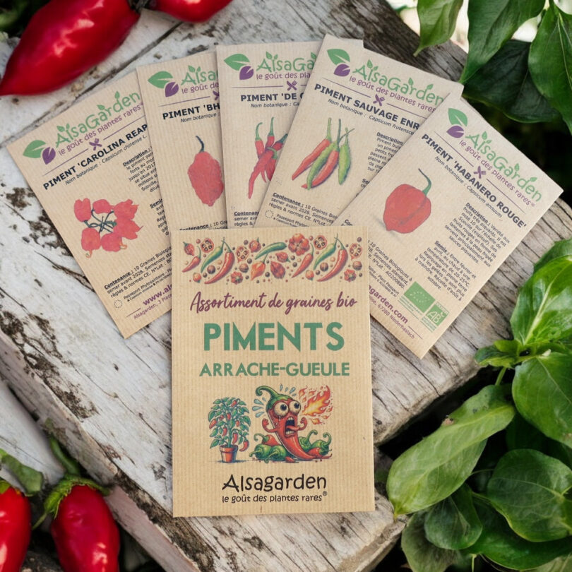 Assortiment Piments Arrache-Gueule (5 Variétés de graines BIO)