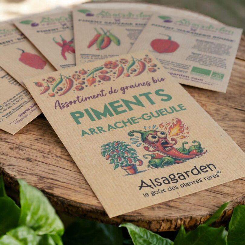 Assortiment Piments Arrache-Gueule (5 Variétés de graines BIO) – Image 2