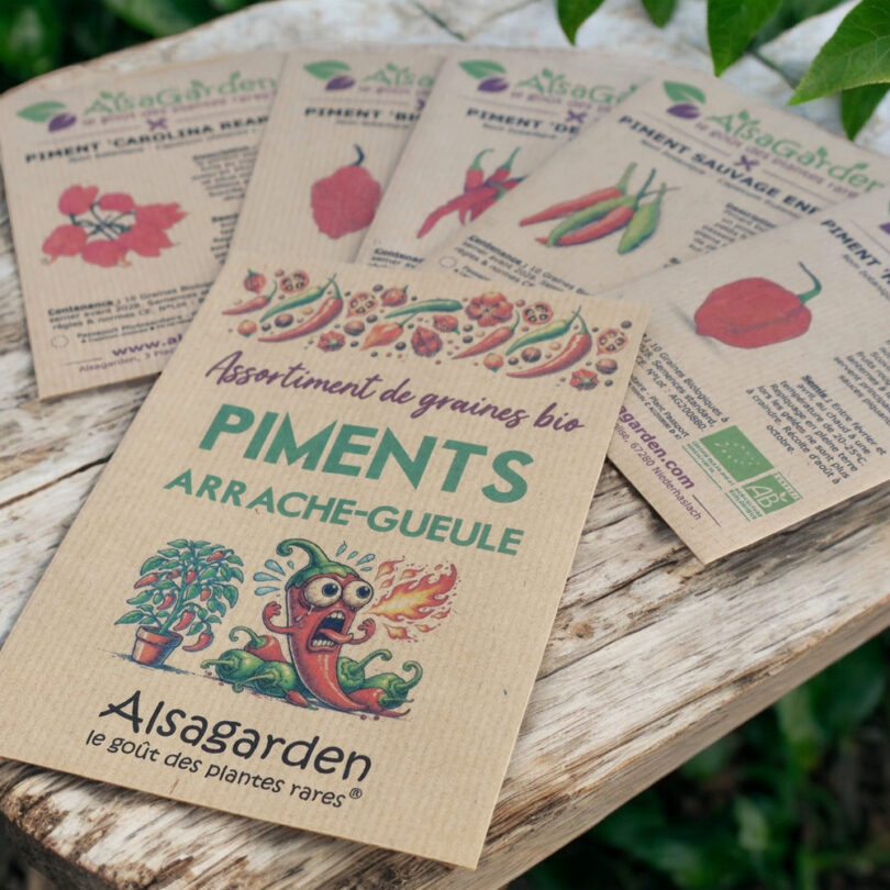 Assortiment Piments Arrache-Gueule (5 Variétés de graines BIO) – Image 3