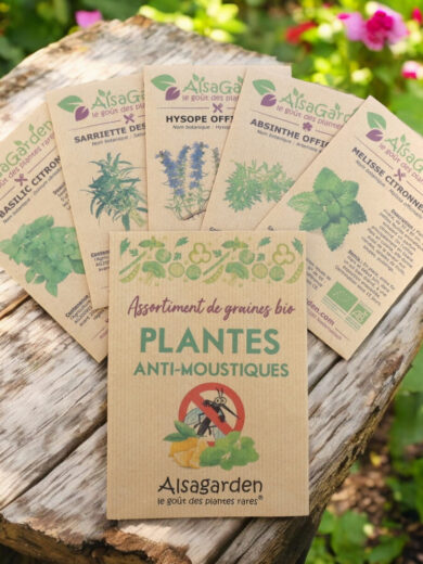 Assortiment Plantes Anti-Moustiques (5 Variétés de graines BIO)