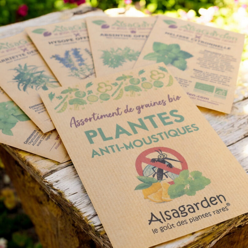 Assortiment Plantes Anti-Moustiques (5 Variétés de graines BIO) – Image 2