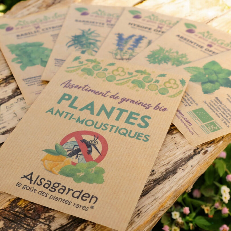 Assortiment Plantes Anti-Moustiques (5 Variétés de graines BIO) – Image 3