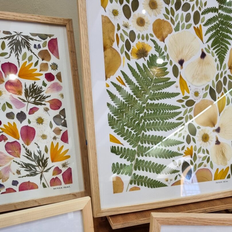 Atelier : Création d'un Herbier Fleuri (2h00) – Image 2