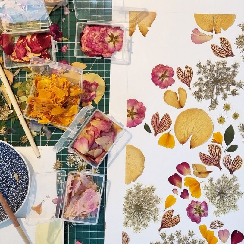 Atelier : Création d'un Herbier Fleuri (2h00) – Image 4