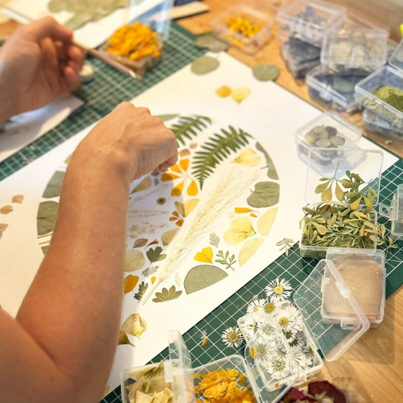 Atelier : Création d'un Herbier Fleuri (2h00)