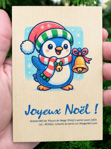 Carte de vœux à semer "Joyeux Noël" (Pingouin) - Graines de 'Flocon de Neige'