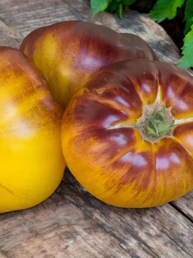 Tomate 'Wolverine' (Variété rare) Graines