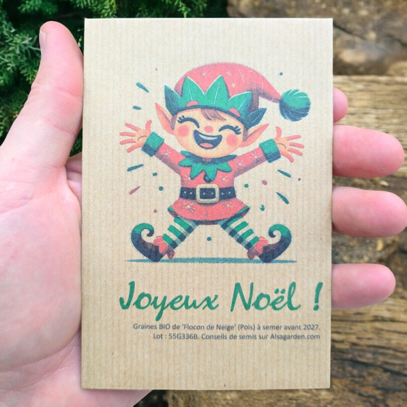 Carte de vœux à semer "Joyeux Noël" (Lutin) - Graines de 'Flocon de Neige'
