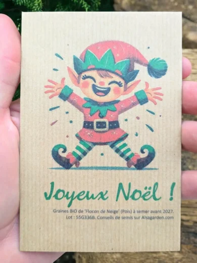 Carte de vœux à semer "Joyeux Noël" (Lutin) - Graines de 'Flocon de Neige'