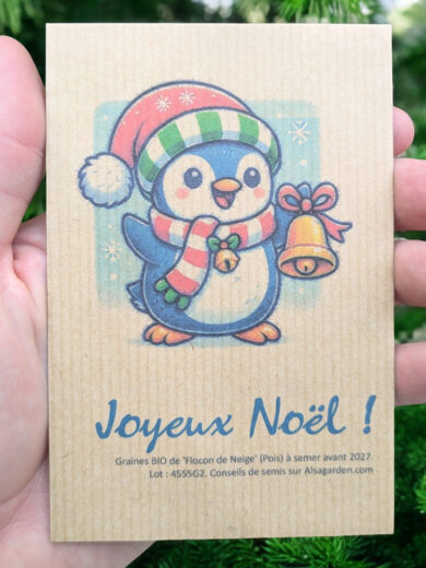 Carte de vœux à semer "Joyeux Noël" (Pingouin) - Graines de 'Flocon de Neige'