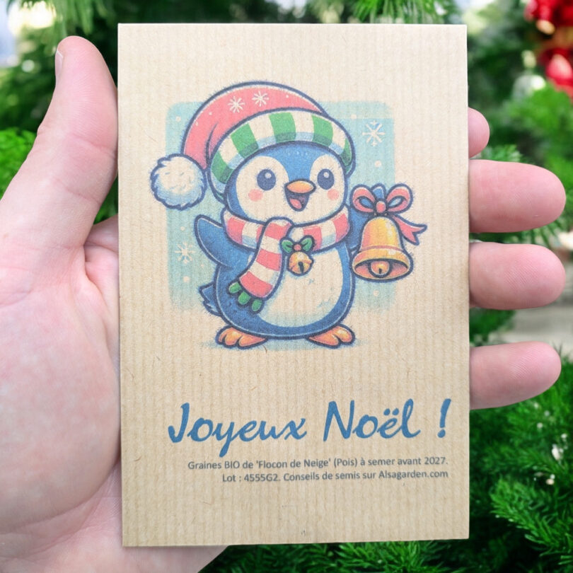 Carte de vœux à semer "Joyeux Noël" (Pingouin) - Graines de 'Flocon de Neige'