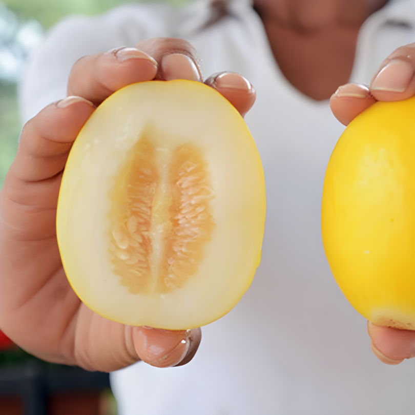 Melon 'Mango' (Variété ancienne rare) Graines – Image 2